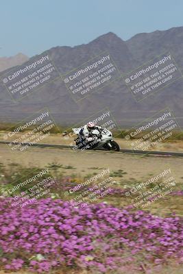 media/Feb-04-2023-SoCal Trackdays (Sat) [[8a776bf2c3]]/Turn 15 Inside Blooming (1050am)/